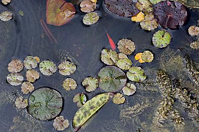 前作里的这个角色不会在《心灵杀手2》中回归